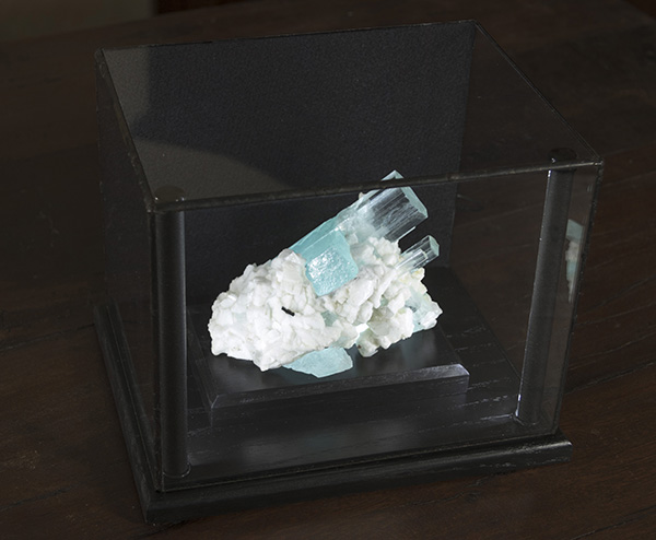 Mineral Display Case